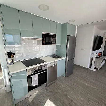 Apartment Penthouse Giner Centro Playa By Trg
